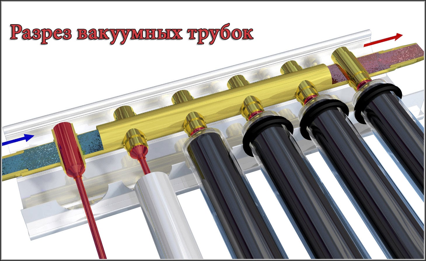 Розріз вакуумних трубок сонячних колекторів